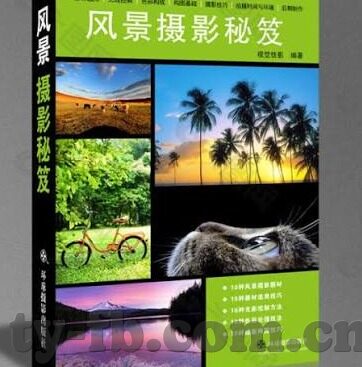 为什么世界杯-为什么世界杯如此令人着迷